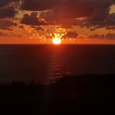 ClaritycoachIrl's profile picture. I enjoy helping people find the gold within themselves and seeing them flourish. I love learning, finding new ways to look at the world and creativity.