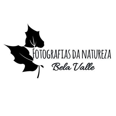 Fotografias da Natureza/Animais 📸🐾