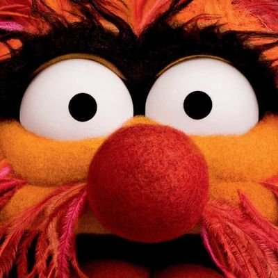 JacquiD60's profile picture. 🇬🇧 Crazy with a big heart ❤️ x
* I don't suffer fools 🥸, trolls 🧌 or twatwaffles 🤡*
I want our streets safe, apparently makes me right wing 🤣