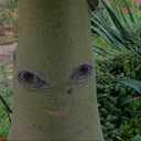 Sara Hutton - @auntiesairbair - Twitter