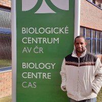 Alfred Kik (@alfredkik) 's Twitter Profile