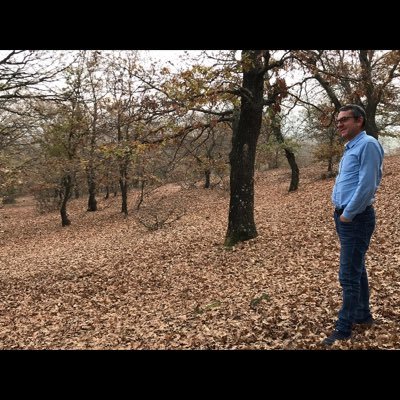 veysel27165062's profile picture. 