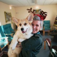 Sarah Rose(@crazycorgipara) 's Twitter Profile Photo