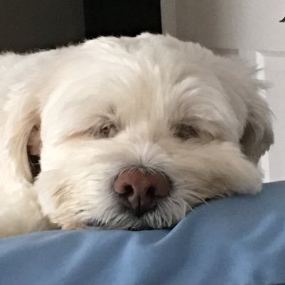 x_mallon's profile picture. 