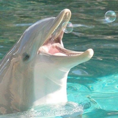 deadstar37's profile picture. Muser, Imaginary Monster & Museum worker who normally has music playing 99% of the time!