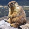 OliveSiffleur's profile picture. Go to now, ye rich men, weep and howl for your miseries that shall come upon you.