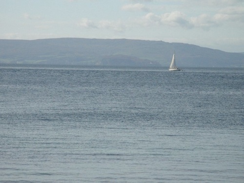 ssssss_rose's profile picture. Artist