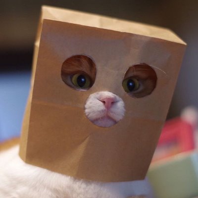 Santiag94360763's profile picture. Redy