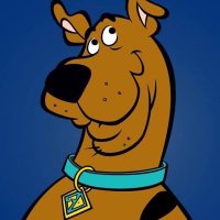 scooby doo (@trscoobydoo) 's Twitter Profile