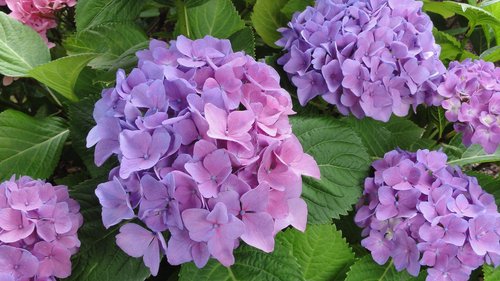 muscle_and_trip's profile picture. ◆2011はストイック/もう逃げない・やり抜く・集中する◆
◆筋トレ/インド/《外》の思考/戦略（目的に対する行動の最適化）/戦術（行動局面における資源配分の最適化）/絶対矛盾的自己同一◆