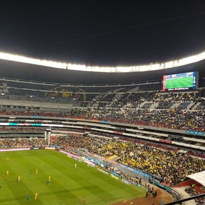 YCalvave's profile picture. 