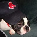 BillInTheVille - @BillGarr39 - Twitter