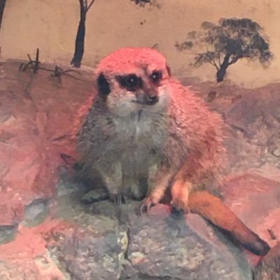 connorlang20's profile picture. 