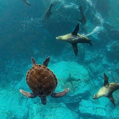 potiputipa's profile picture. there is no planet 🌎 B🙂