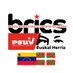 Brics-PSUV Euskal Herria (@bricspsuveh) Twitter profile photo