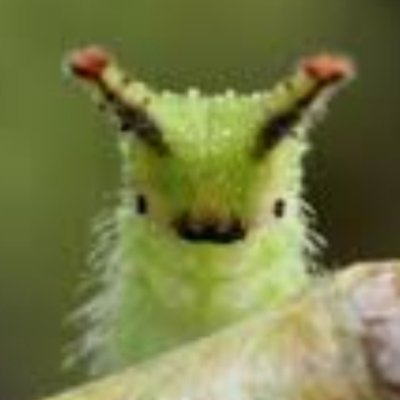 jackolantern641's profile picture. 