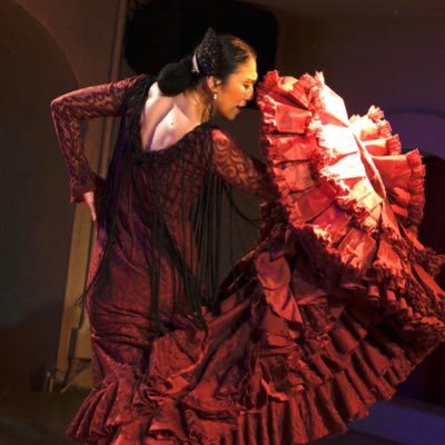 Estudio LA FUENTE _ Flamenco