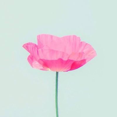 cassidymo2's profile picture. 自己分析の為に正直に考えを綴ります。