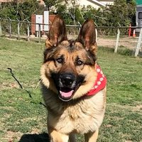 Andrew Perez (@aperez22_805) 's Twitter Profile