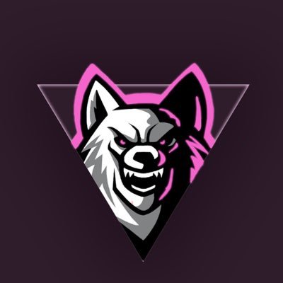 assaultau_'s profile picture. Competitive Fortnite Player / CSGO Trader