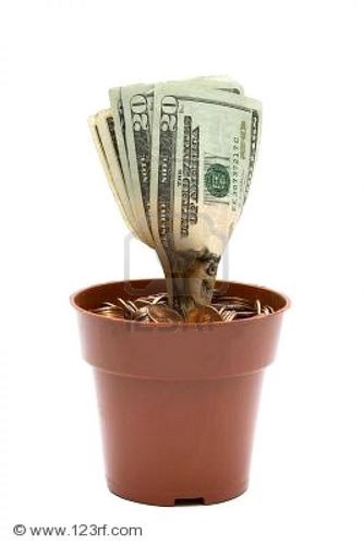 Ghanafreejob's profile picture. stop unemployment now