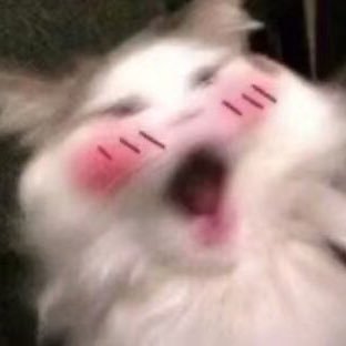 MlSFlTZ's profile picture. 