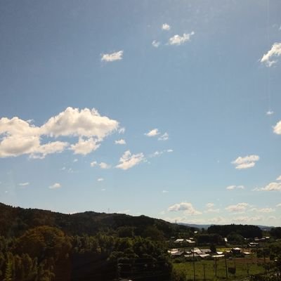 好きの種類はいっぱいだ！さんのプロフィール画像