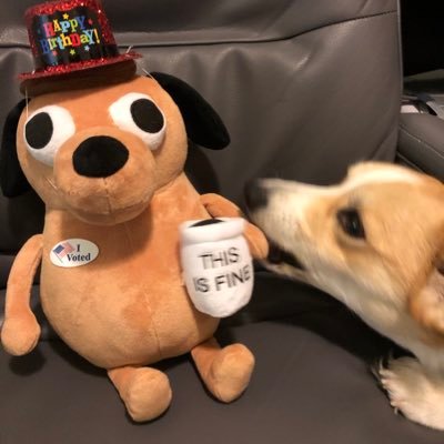 DoucheHooligan's profile picture. Stay at Home Astronaut, Critter, Corgi Tamer, Moose, Dungeon Master, Software Spaghetti Maker | he/him