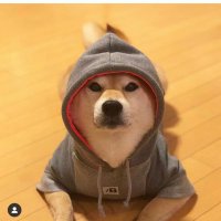 HUGO (@hugowinner66) 's Twitter Profile Photo