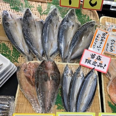 日本海さかな街『島屋』の店員さんのプロフィール画像