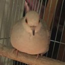 Daisy Abarca - @DaisyAbarca7 - Twitter