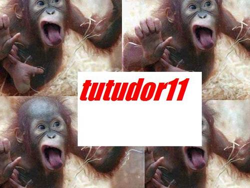 tutudor11's profile picture. youtuber cool stuf and things , short: videos