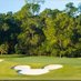 golf traveler (@golftraveler3) Twitter profile photo golf traveler (@golftraveler3) Twitter profile photo