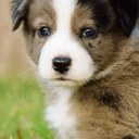 Teagan Lynch - @sportygirl8888 - Twitter