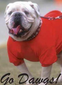 Jawz791's profile picture. Owner of former master turned sissy @SissyNevaehUK