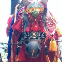 青銀目のチャグチャグ馬コ 青銀目のチャグチャグ馬コ - メルカリ