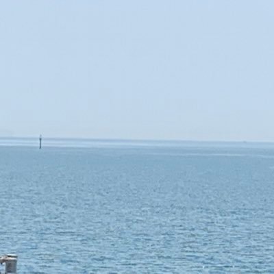 俳句甲子園22、23、24th / 青嵐俳談や俳句道場など様々な所に投句しています。/大学でも部活と個人で俳句続けています。