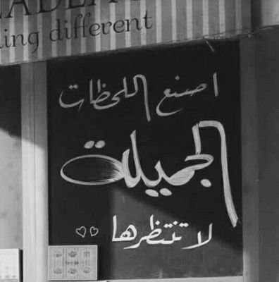 ofVMrcPBFqykyNH's profile picture. Ali