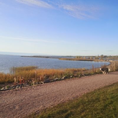 heidi__mm's profile picture. 