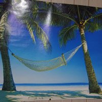信州大学 自然科学研究会 (@shizenken_su) 's Twitter Profile Photo 信州大学 自然科学研究会 (@shizenken_su) 's Twitter Profile Photo