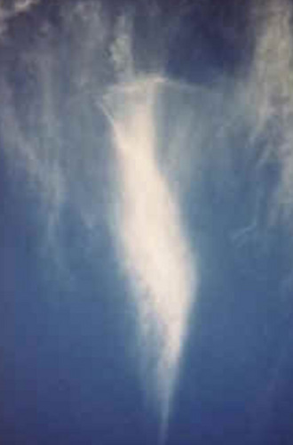 tratyne's profile picture. pieces of everything ... weavings