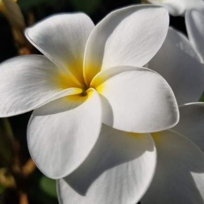 machamacha7's profile picture. 