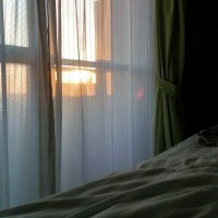 。 (@sinitai__04) Twitter profile photo