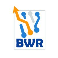 BlueWhiteRobotics (@_bwrobotics) 's Twitter Profile