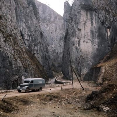 Alex_Augusto10's profile picture. 