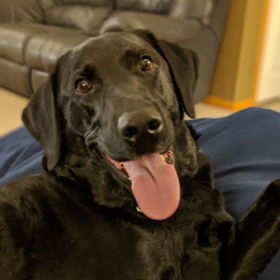 KarlPiepho's profile picture. 