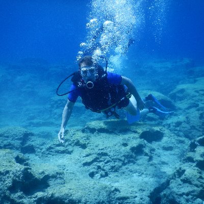 chrislloydjone1's profile picture. Albion and India - eyes open