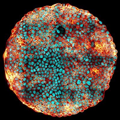 michalsuch's profile picture. 