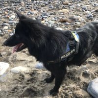 Laura McMahon (@laurahmcmahon) 's Twitter Profile Photo Laura McMahon (@laurahmcmahon) 's Twitter Profile Photo