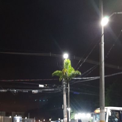 DANIEL_DLB's profile picture. 